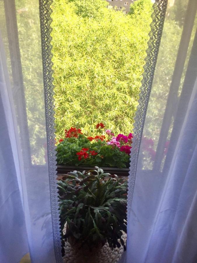 Pension Plesivecka 119 Cesky Krumlov Luaran gambar