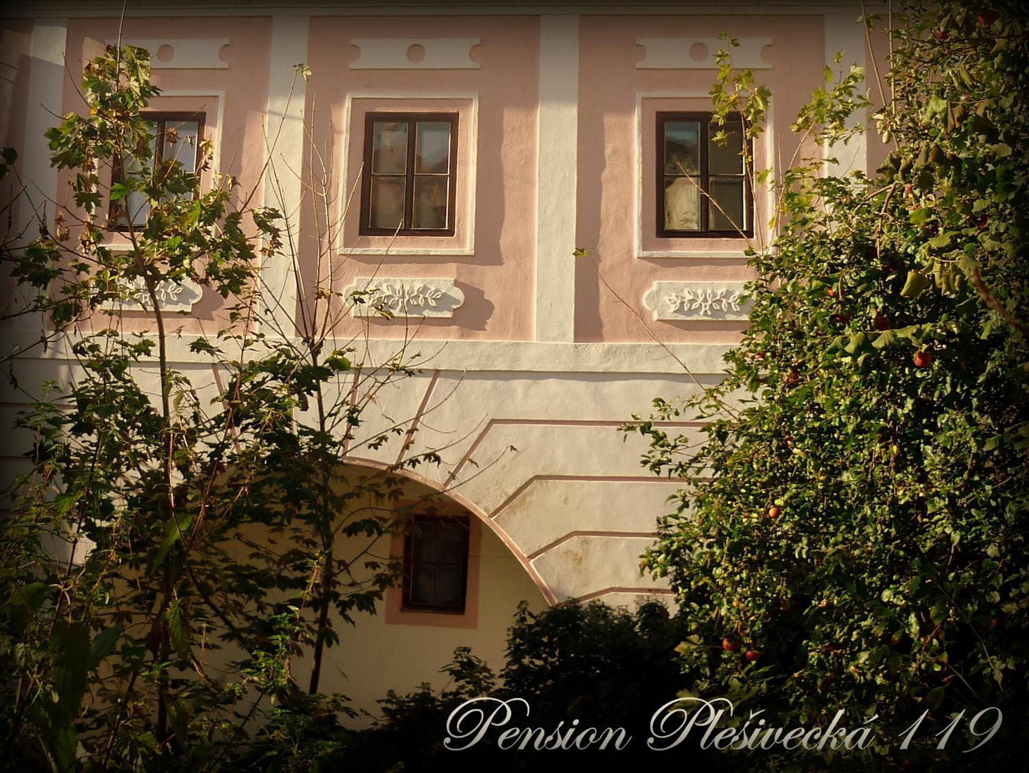 Pension Plesivecka 119 Cesky Krumlov Luaran gambar