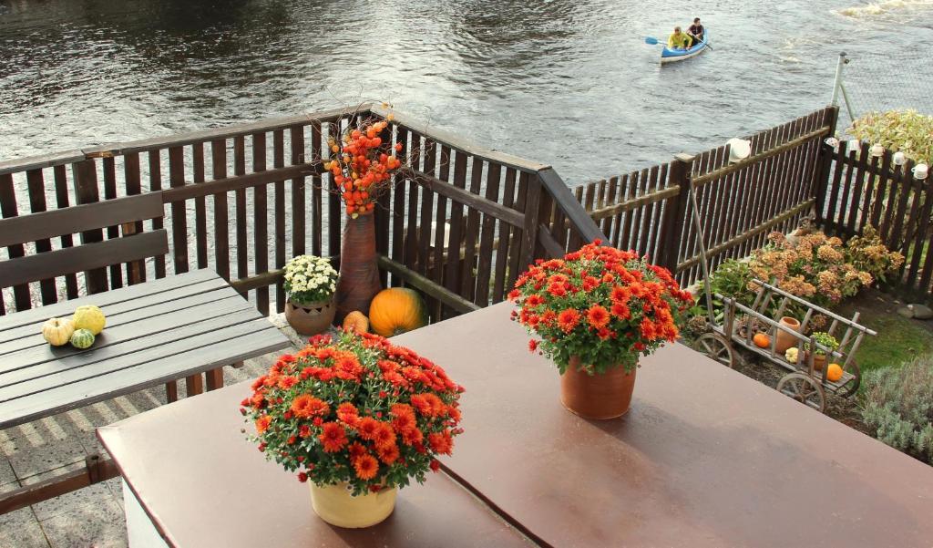 Pension Plesivecka 119 Cesky Krumlov Luaran gambar