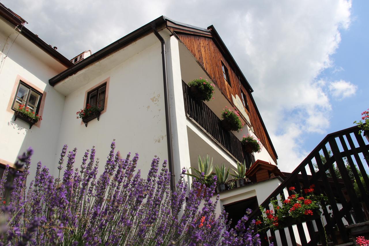 Pension Plesivecka 119 Cesky Krumlov Luaran gambar
