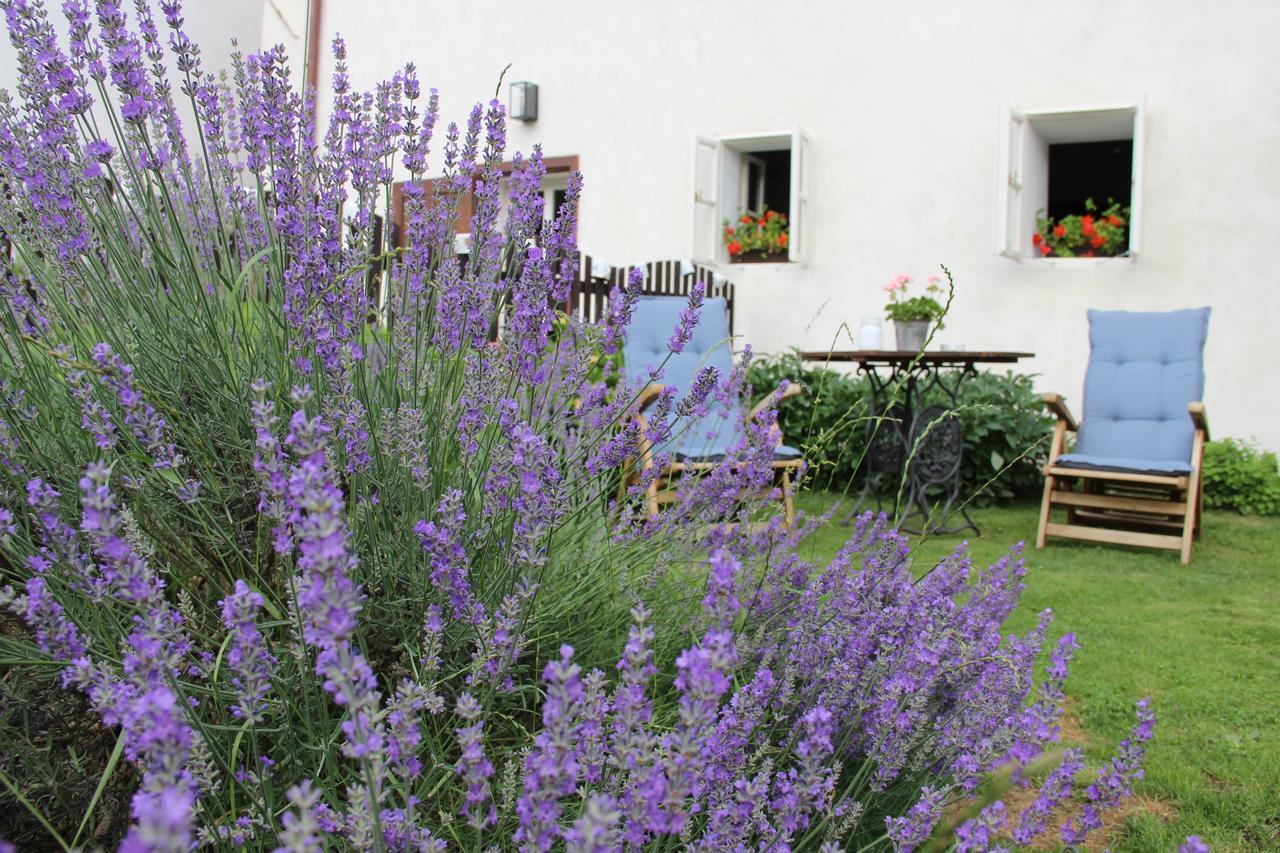 Pension Plesivecka 119 Cesky Krumlov Luaran gambar